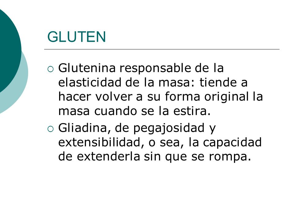 GLUTEN Glutenina responsable de la elasticidad de la masa: tiende a hacer volver a su forma original la masa cuando se la estira.