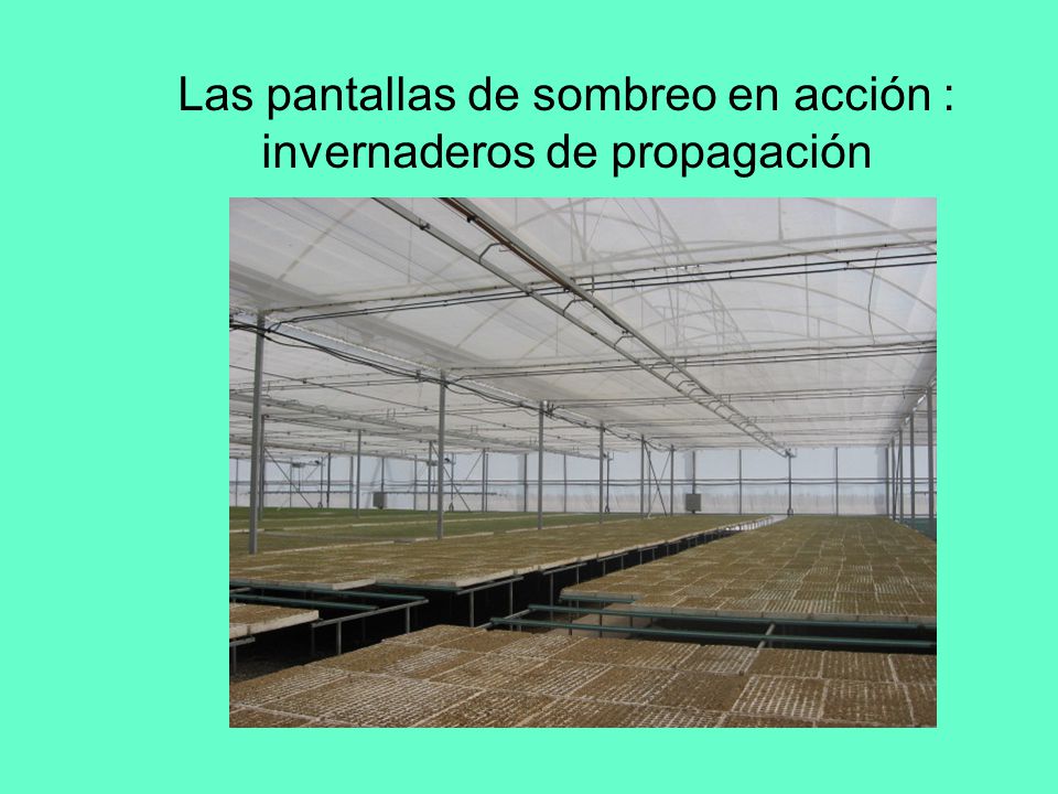 Las pantallas de sombreo en acción : invernaderos de propagación