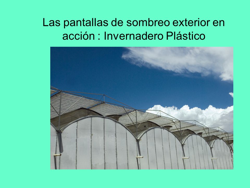 Las pantallas de sombreo exterior en acción : Invernadero Plástico