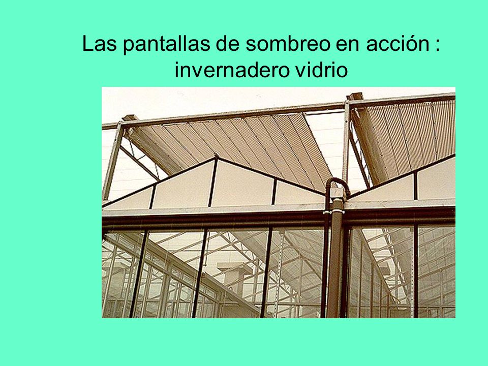 Las pantallas de sombreo en acción : invernadero vidrio