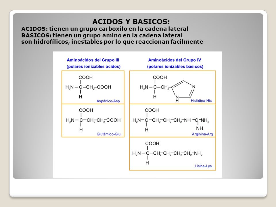 ACIDOS Y BASICOS: ACIDOS: tienen un grupo carboxilo en la cadena lateral BASICOS: tienen un grupo amino en la cadena lateral son hidrofílicos, inestables por lo que reaccionan facilmente