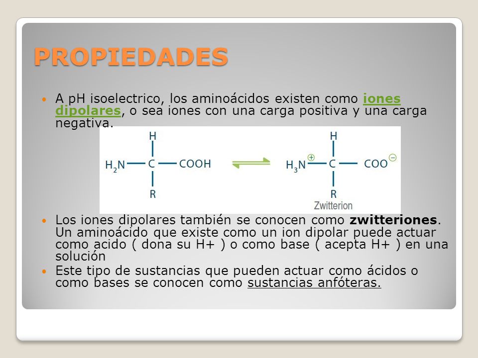 PROPIEDADES A pH isoelectrico, los aminoácidos existen como iones dipolares, o sea iones con una carga positiva y una carga negativa.