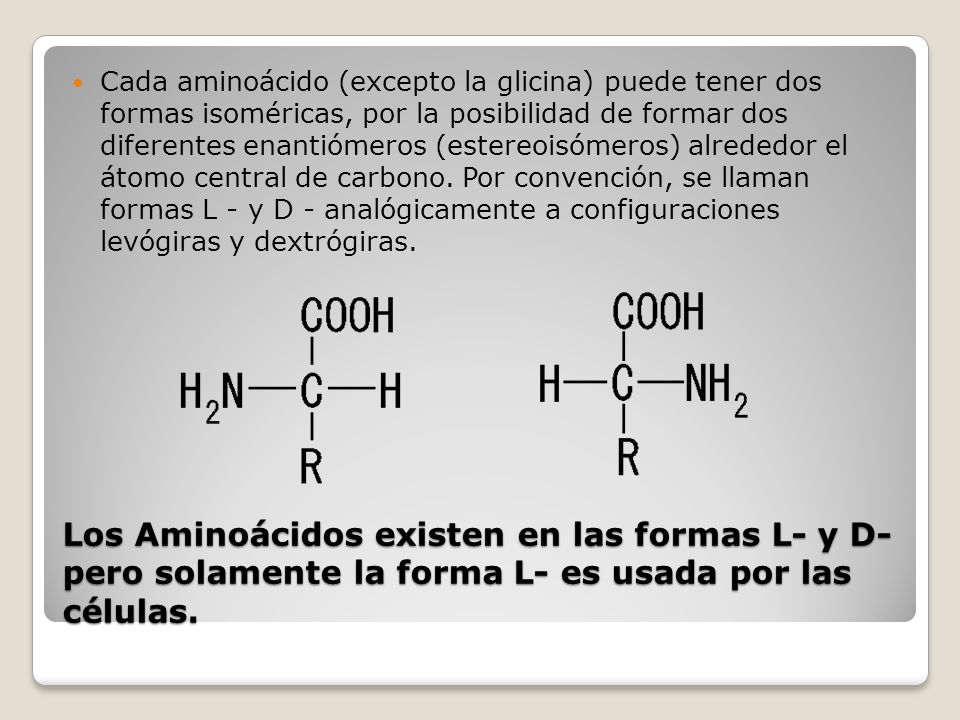 Cada aminoácido (excepto la glicina) puede tener dos formas isoméricas, por la posibilidad de formar dos diferentes enantiómeros (estereoisómeros) alrededor el átomo central de carbono. Por convención, se llaman formas L - y D - analógicamente a configuraciones levógiras y dextrógiras.