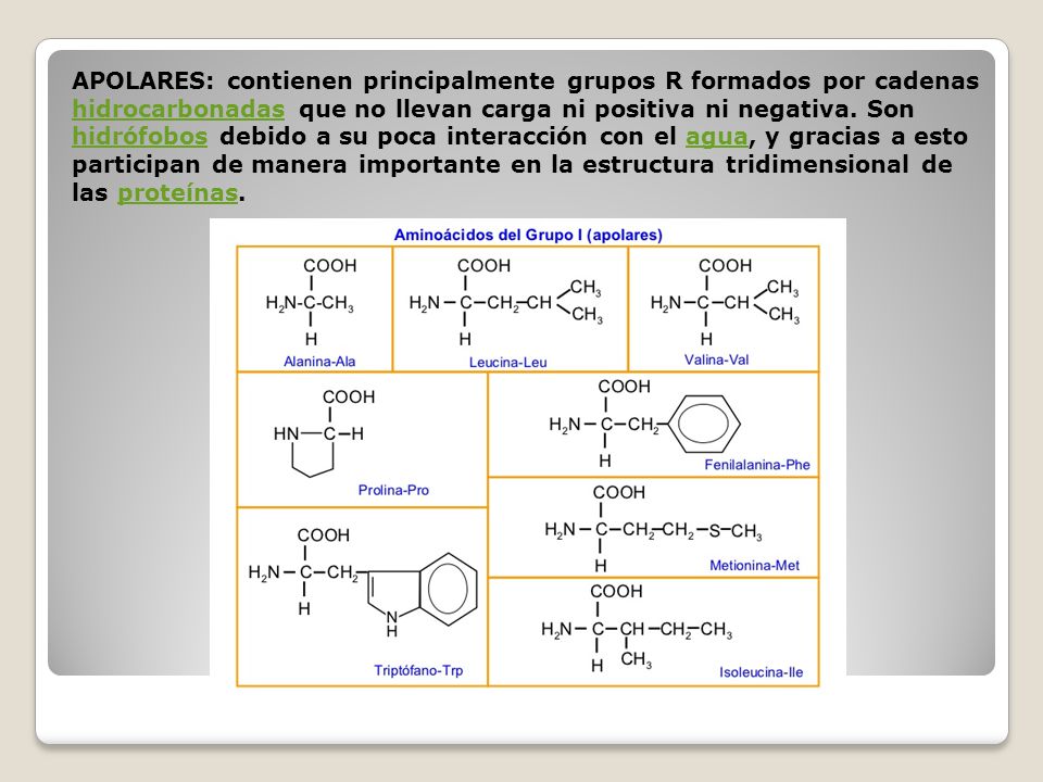 APOLARES: contienen principalmente grupos R formados por cadenas hidrocarbonadas que no llevan carga ni positiva ni negativa.