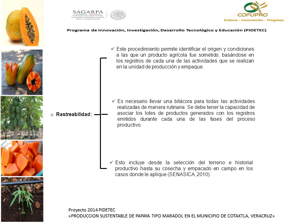 Este procedimiento permite identificar el origen y condiciones a las que un producto agrícola fue sometido, basándose en los registros de cada una de las actividades que se realizan en la unidad de producción y empaque.