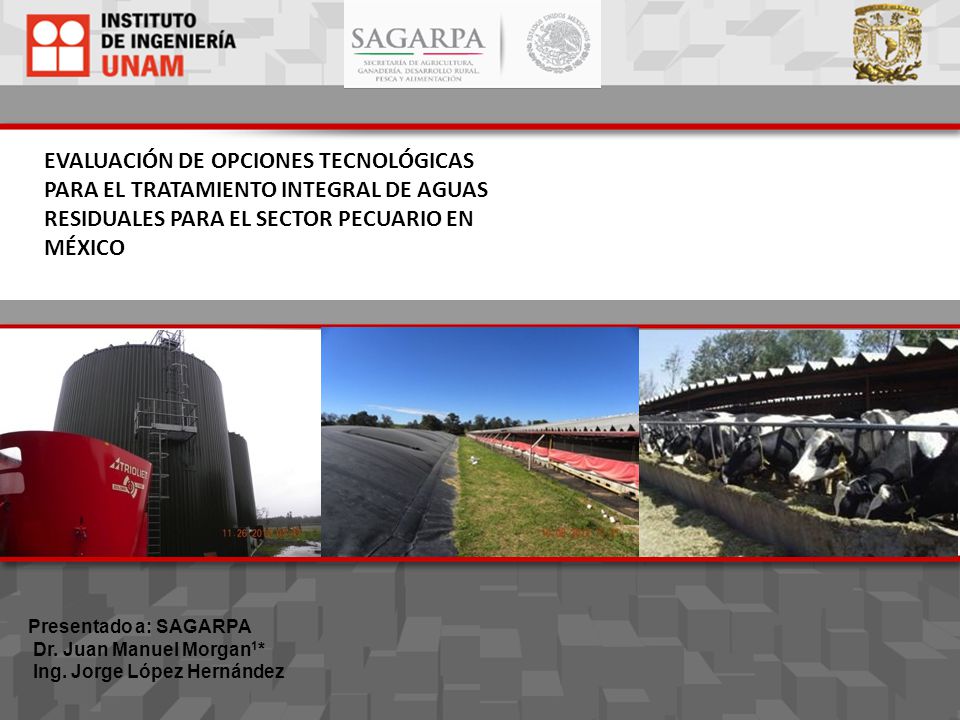 EVALUACIÓN DE OPCIONES TECNOLÓGICAS PARA EL TRATAMIENTO INTEGRAL DE AGUAS RESIDUALES PARA EL SECTOR PECUARIO EN MÉXICO