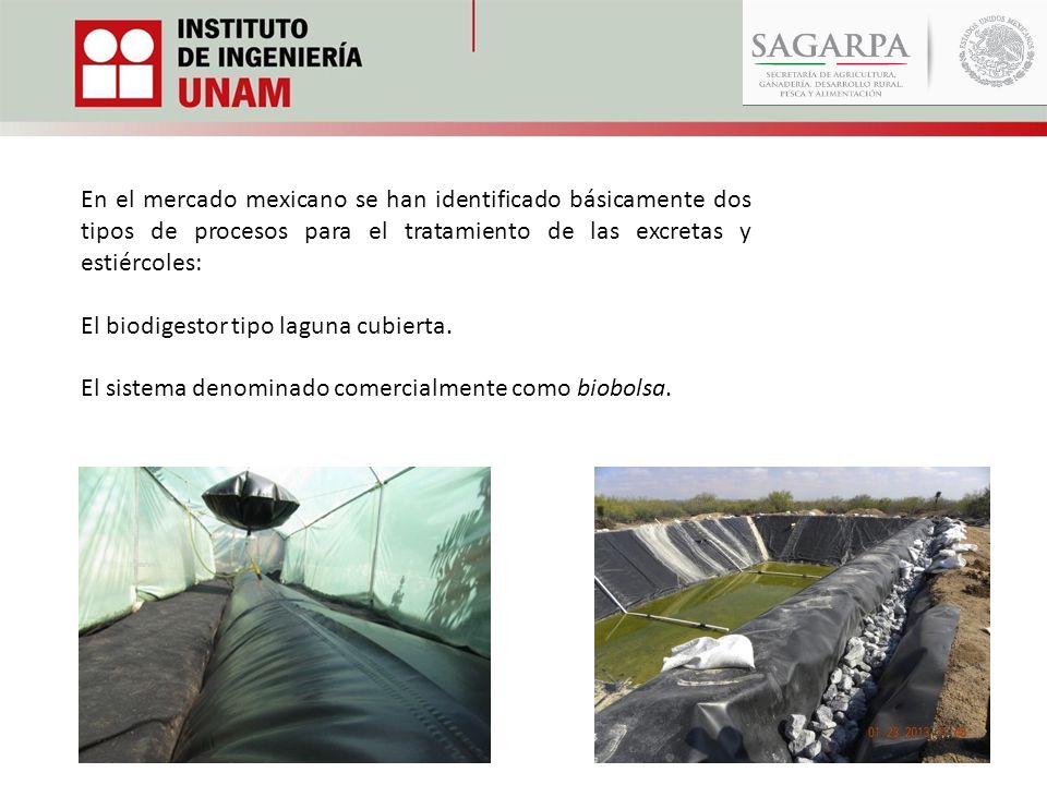 En el mercado mexicano se han identificado básicamente dos tipos de procesos para el tratamiento de las excretas y estiércoles: