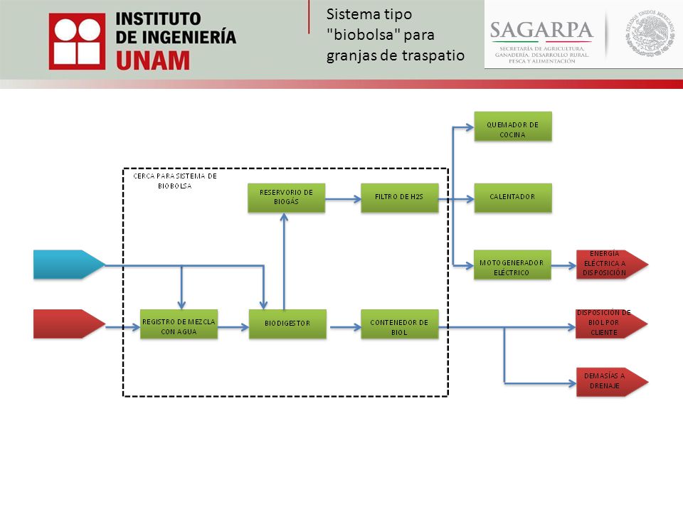 Sistema tipo biobolsa para granjas de traspatio