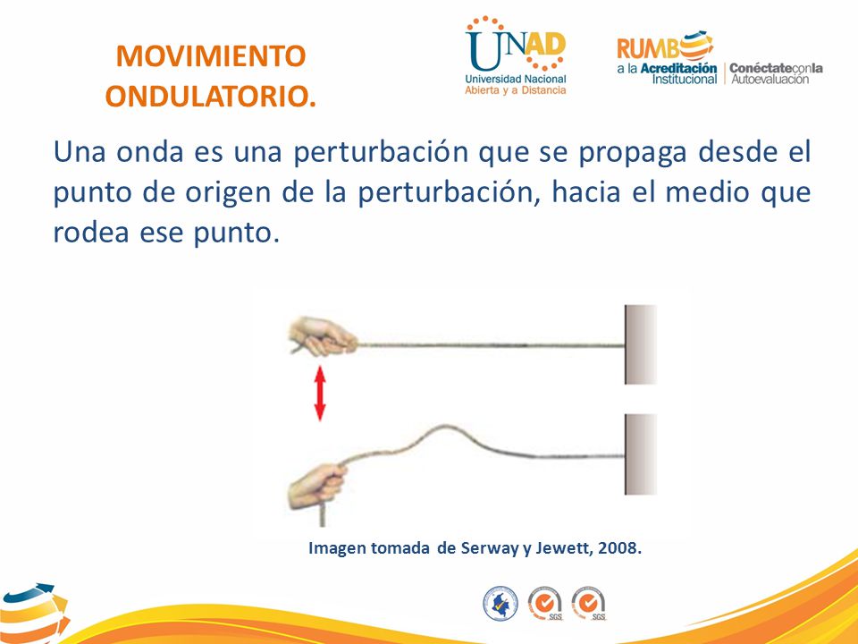 MOVIMIENTO ONDULATORIO. Imagen tomada de Serway y Jewett, 2008.