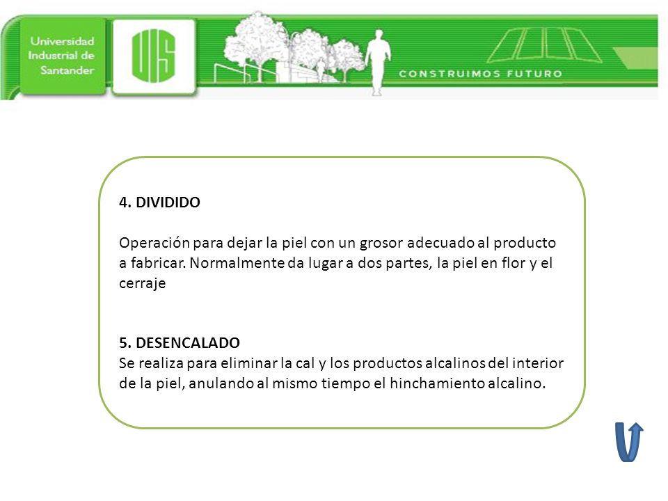 4. DIVIDIDO