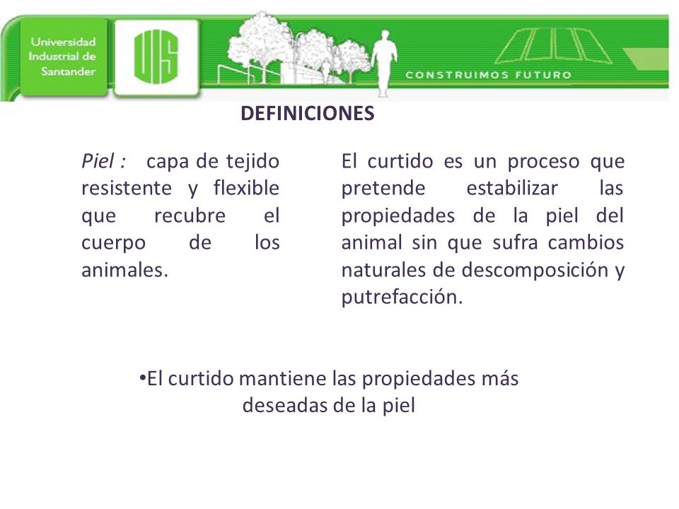 El curtido mantiene las propiedades más deseadas de la piel