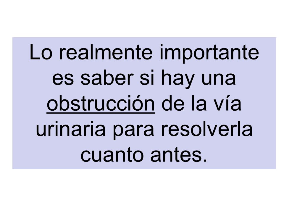 Lo realmente importante es saber si hay una obstrucción de la vía urinaria para resolverla cuanto antes.