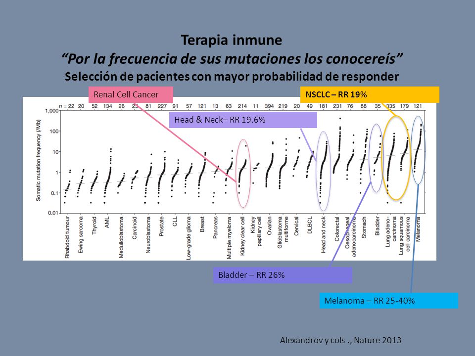 Terapia inmune Por la frecuencia de sus mutaciones los conocereís