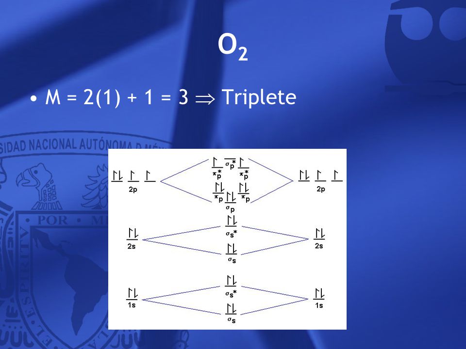 O2 M = 2(1) + 1 = 3  Triplete 42
