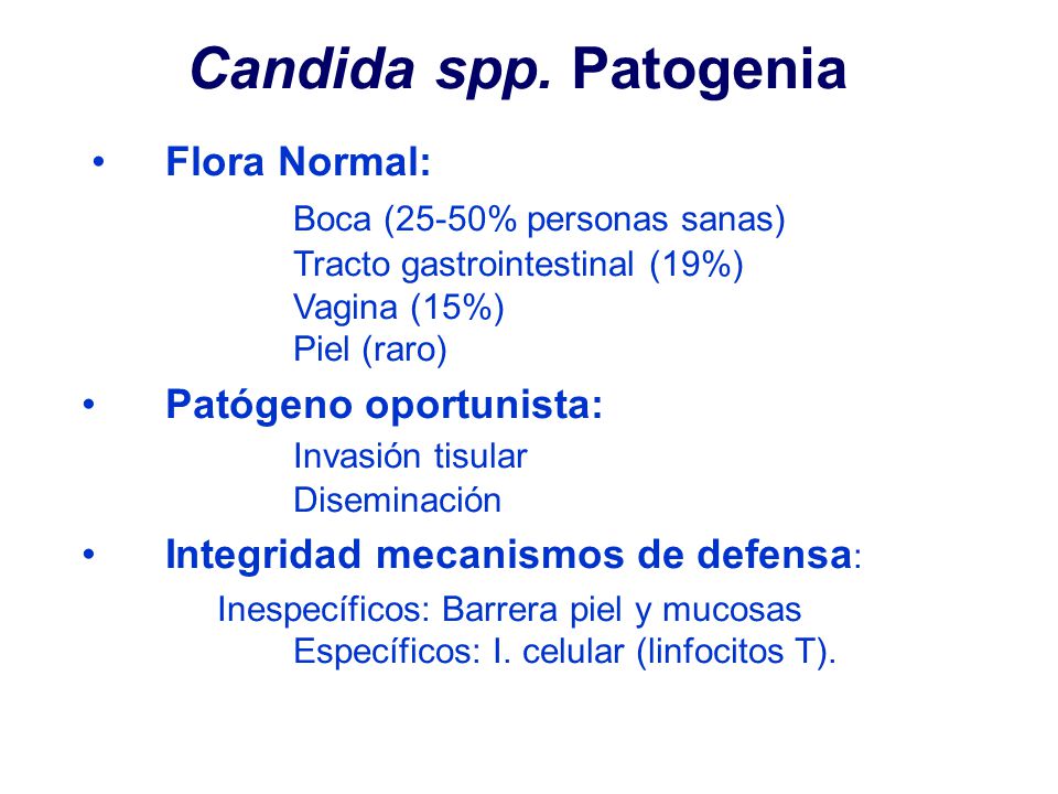Candida spp. Patogenia Boca (25-50% personas sanas) Flora Normal: