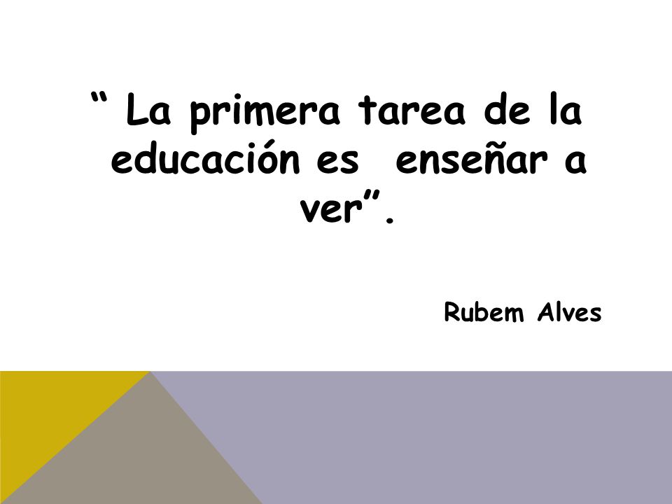 La primera tarea de la educación es enseñar a ver .