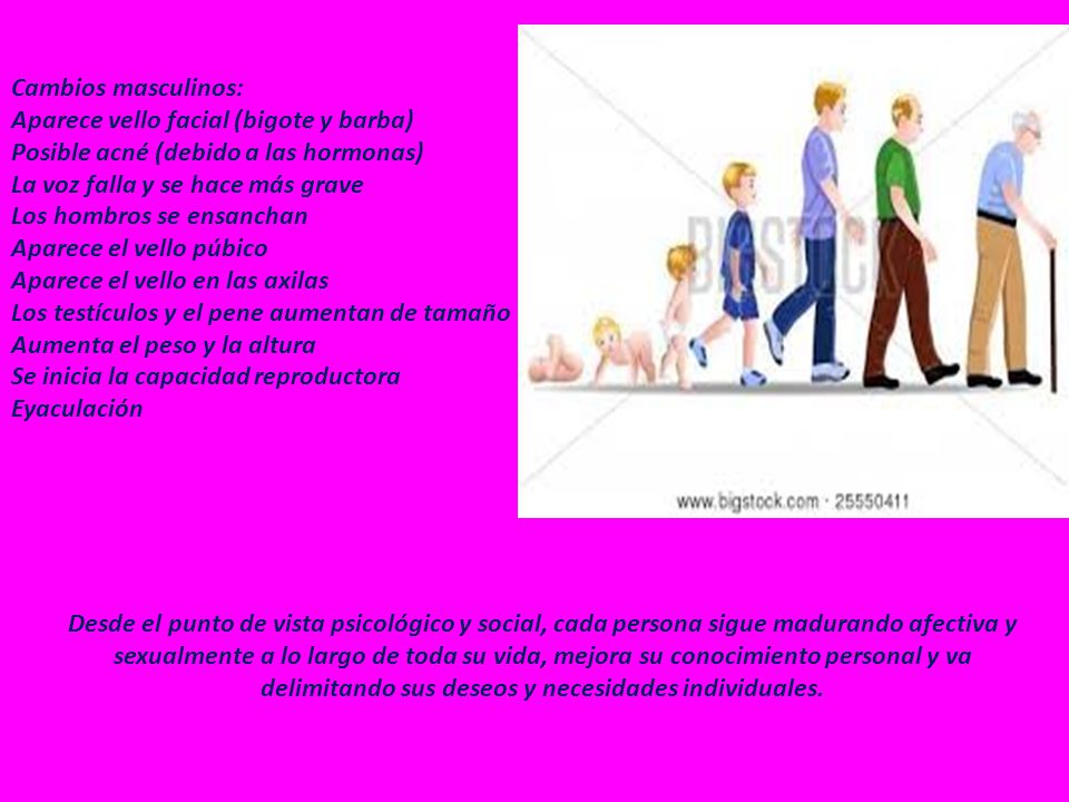 Cambios masculinos: Aparece vello facial (bigote y barba) Posible acné (debido a las hormonas) La voz falla y se hace más grave Los hombros se ensanchan Aparece el vello púbico Aparece el vello en las axilas Los testículos y el pene aumentan de tamaño Aumenta el peso y la altura Se inicia la capacidad reproductora Eyaculación