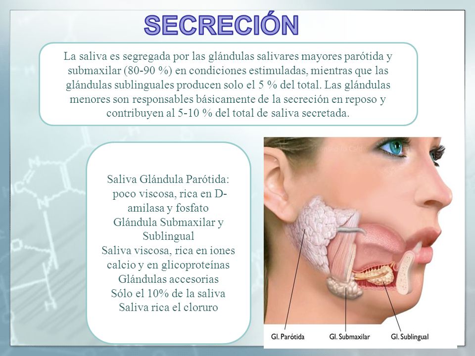 Saliva Glándula Parótida: poco viscosa, rica en D-amilasa y fosfato