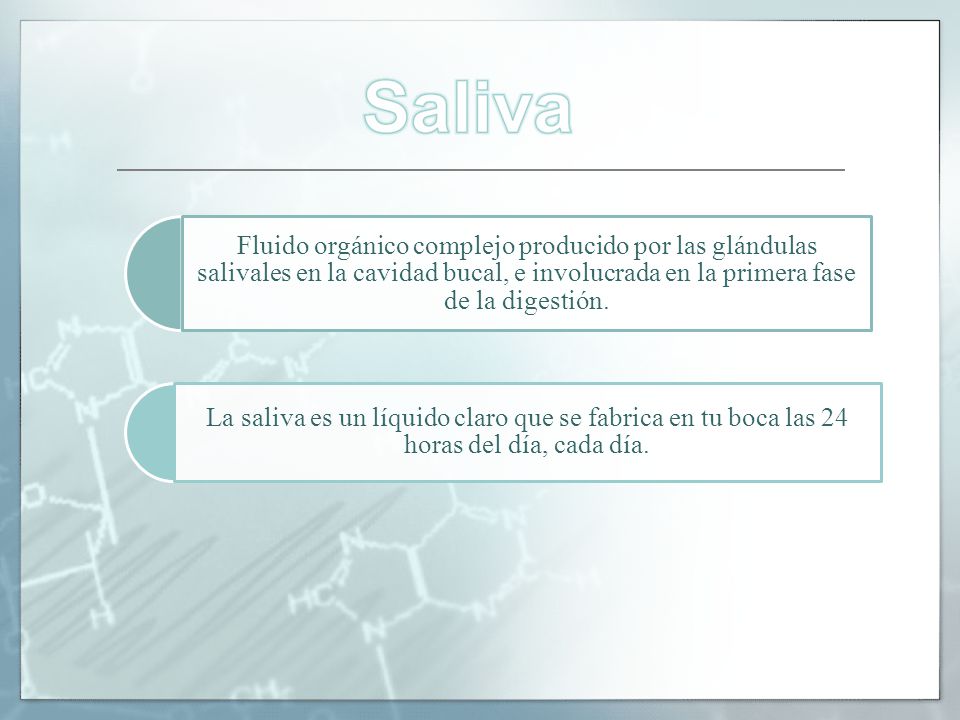 Fluido orgánico complejo producido por las glándulas salivales en la cavidad bucal, e involucrada en la primera fase de la digestión.