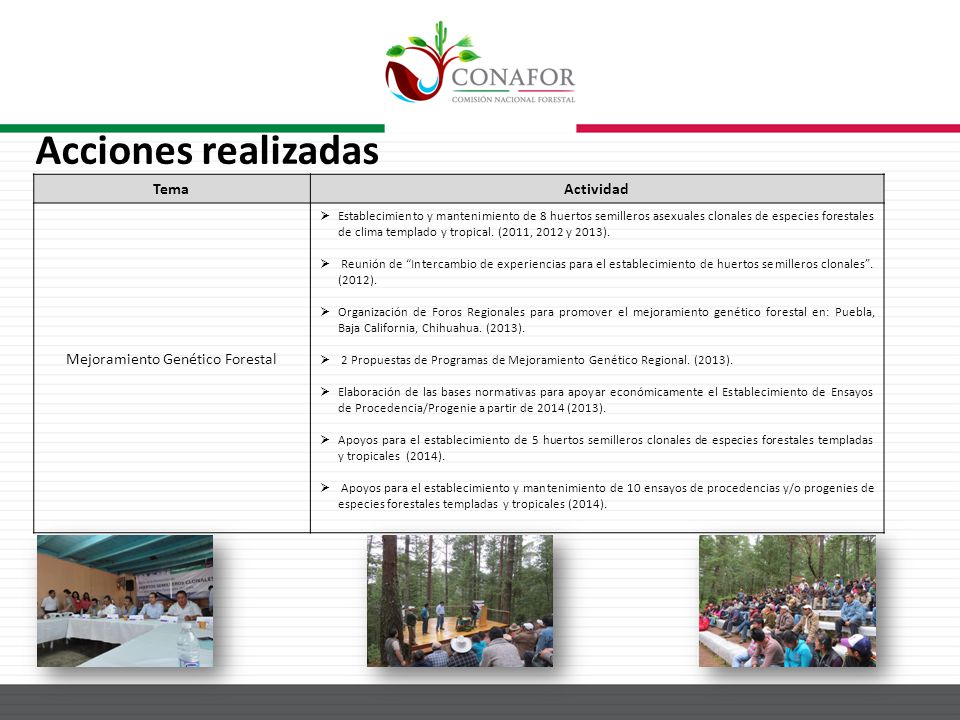 Mejoramiento Genético Forestal