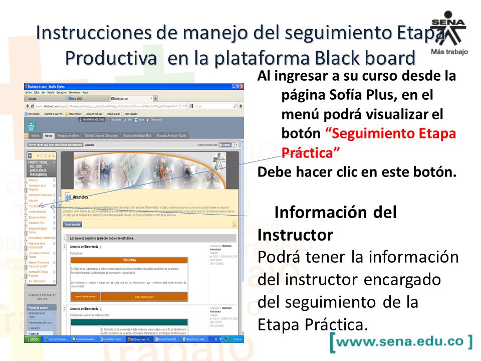Instrucciones de manejo del seguimiento Etapa Productiva en la plataforma Black board