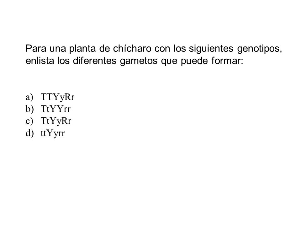 Para una planta de chícharo con los siguientes genotipos,