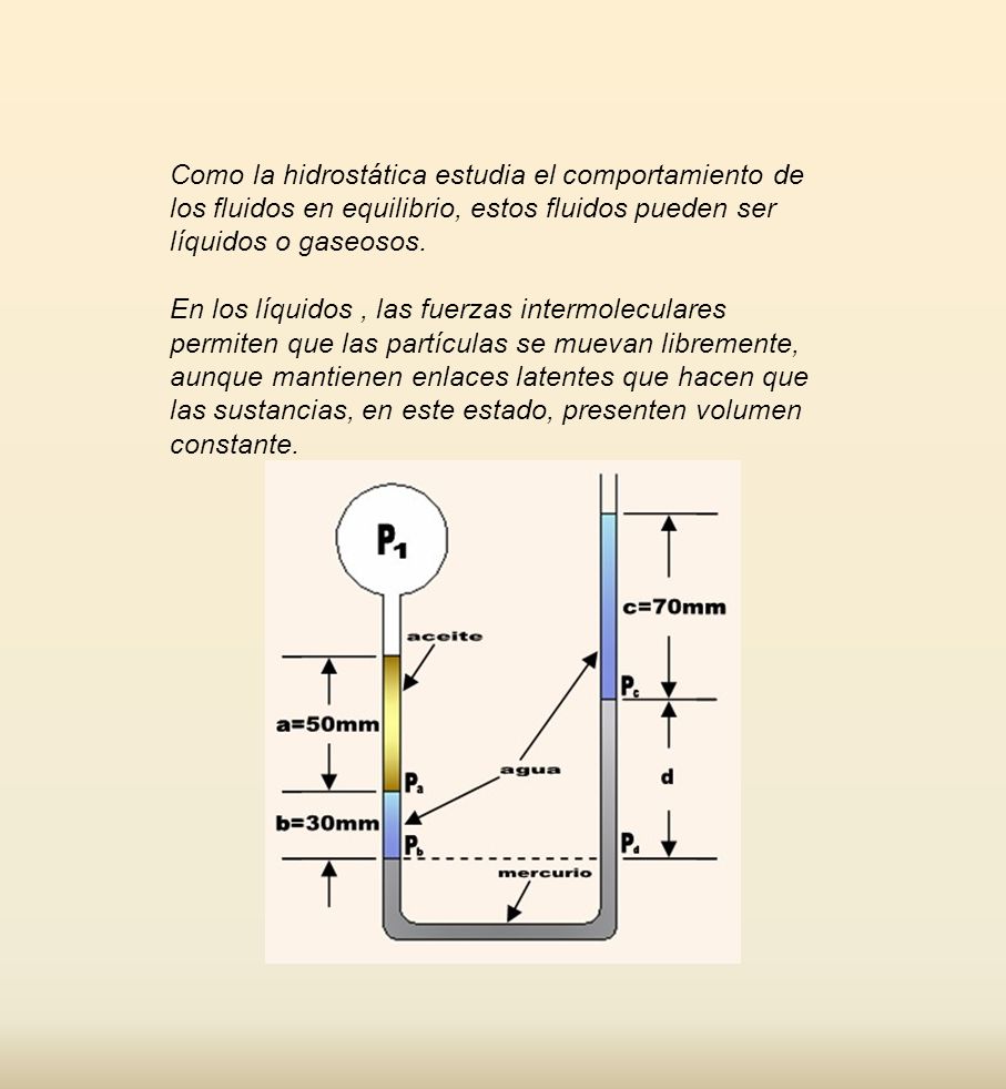 Como la hidrostática estudia el comportamiento de los fluidos en equilibrio, estos fluidos pueden ser líquidos o gaseosos.