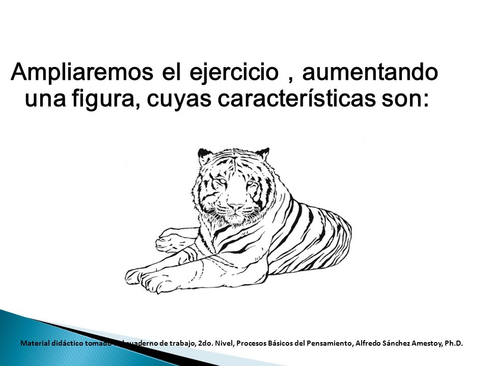 Ampliaremos el ejercicio , aumentando una figura, cuyas características son:
