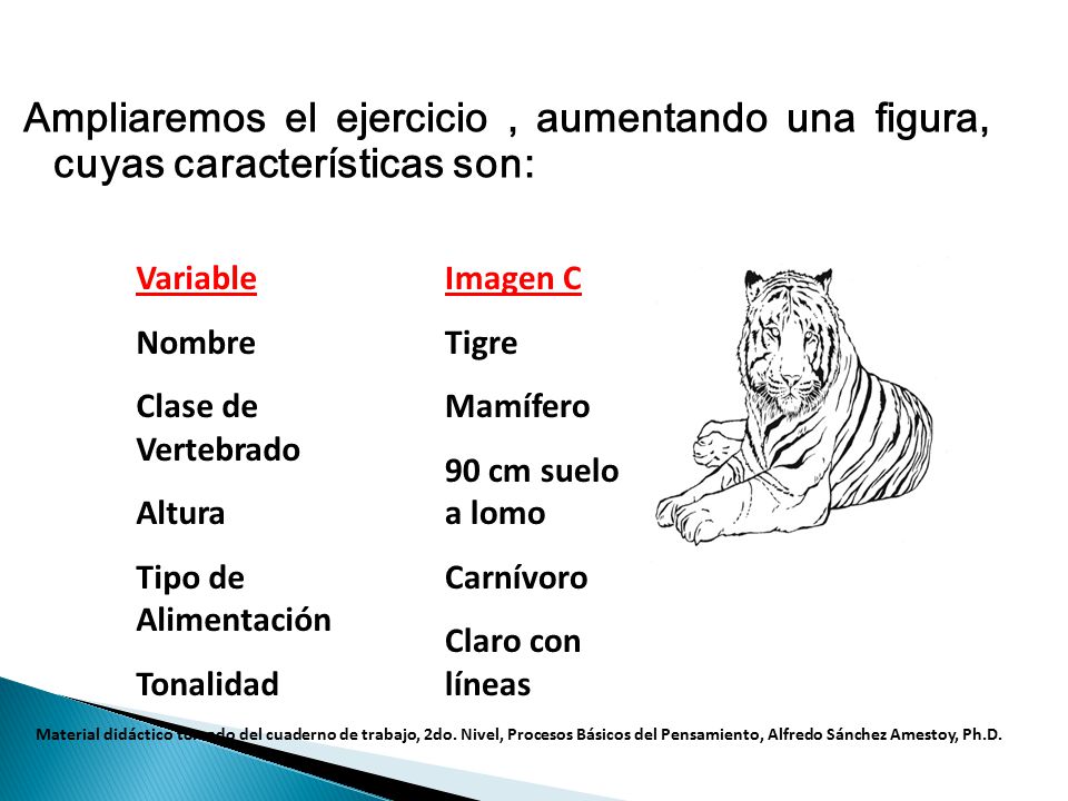 Ampliaremos el ejercicio , aumentando una figura, cuyas características son: