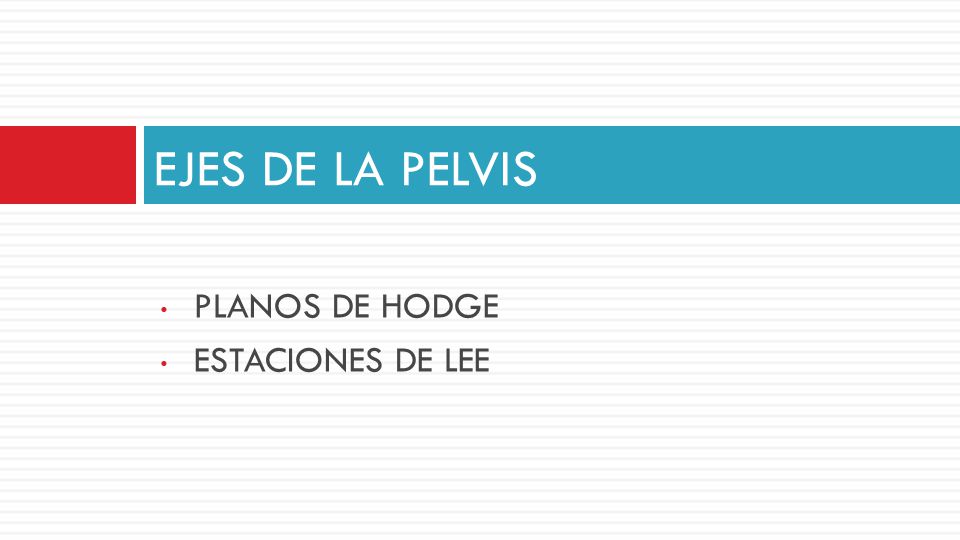 EJES DE LA PELVIS PLANOS DE HODGE ESTACIONES DE LEE