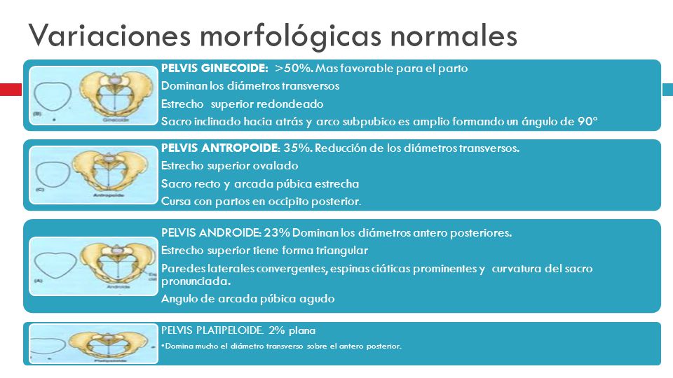 Variaciones morfológicas normales