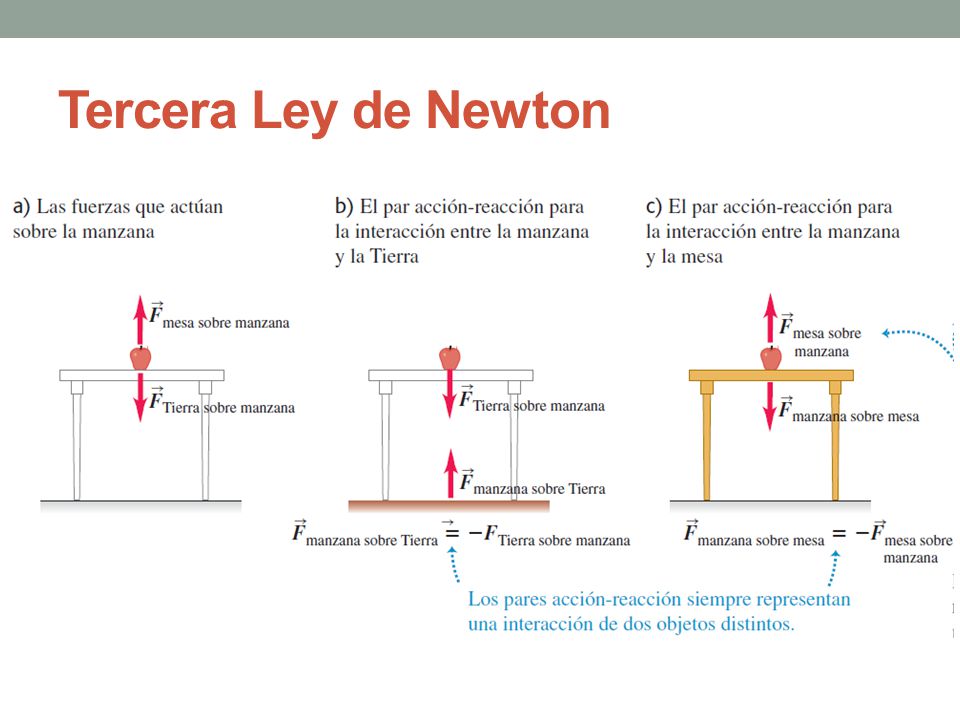 Tercera Ley de Newton