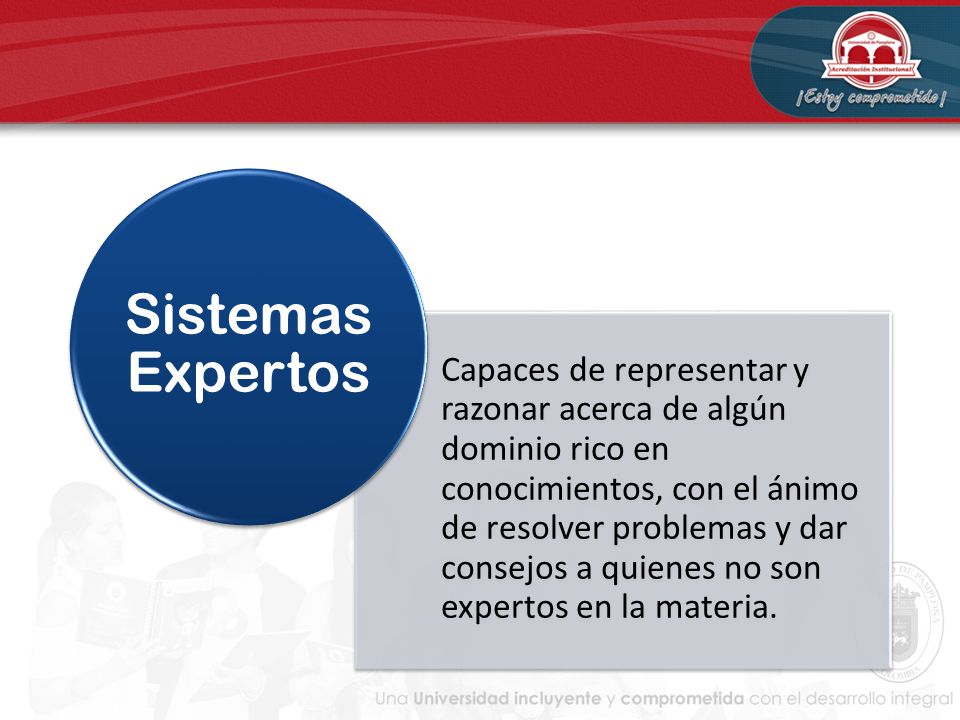 Capaces de representar y razonar acerca de algún dominio rico en conocimientos, con el ánimo de resolver problemas y dar consejos a quienes no son expertos en la materia.