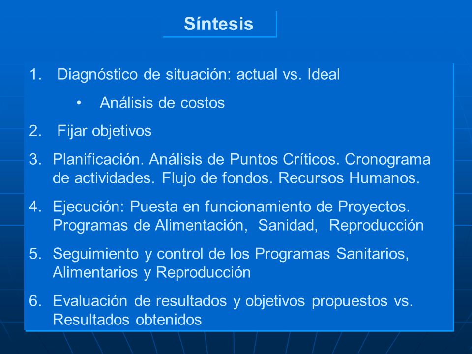 Síntesis Diagnóstico de situación: actual vs. Ideal Análisis de costos