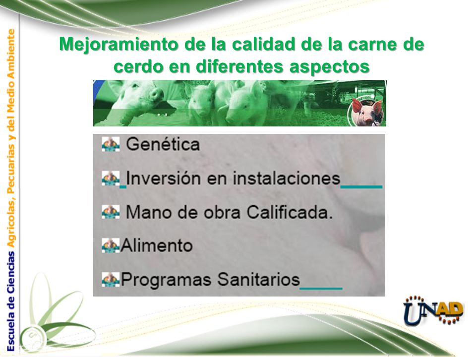 Mejoramiento de la calidad de la carne de cerdo en diferentes aspectos
