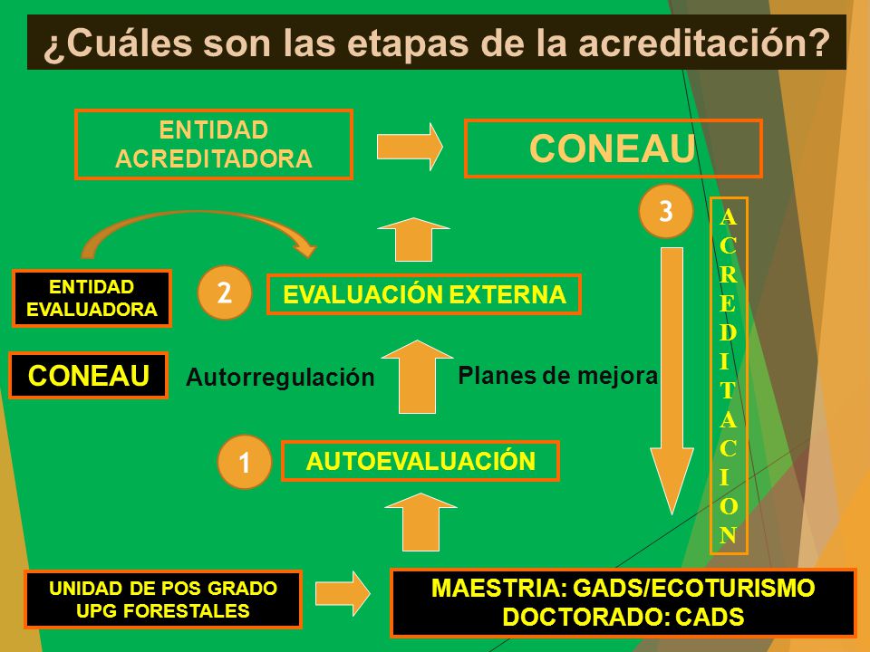 ¿Cuáles son las etapas de la acreditación