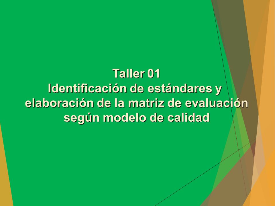 Identificación de estándares y elaboración de la matriz de evaluación