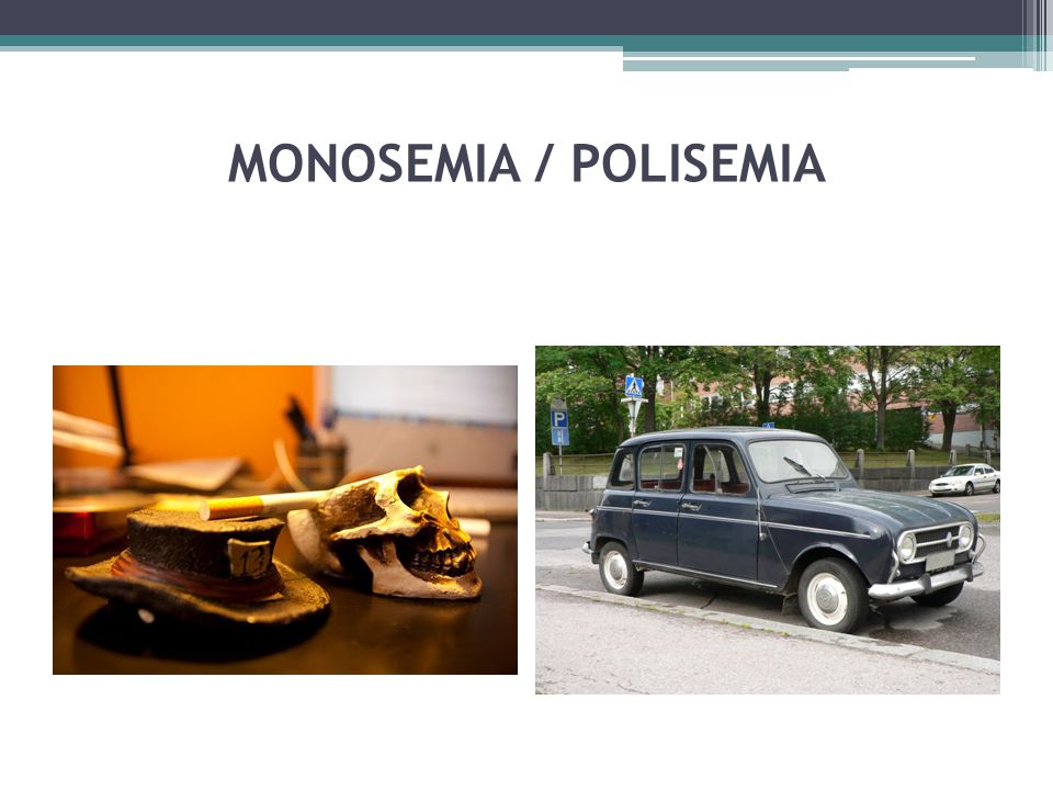 MONOSEMIA / POLISEMIA