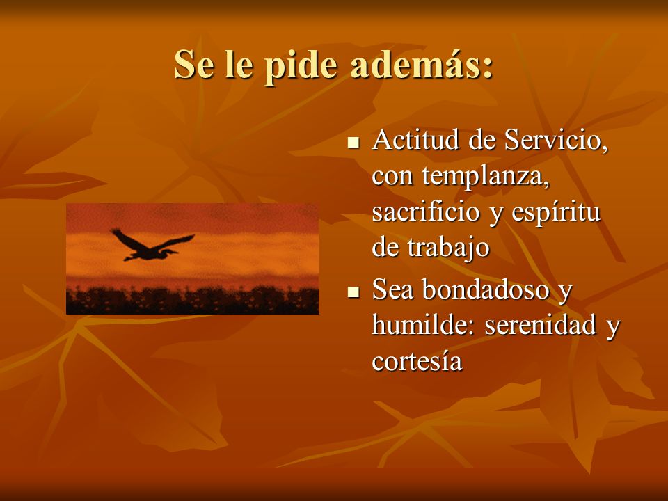 Se le pide además: Actitud de Servicio, con templanza, sacrificio y espíritu de trabajo.