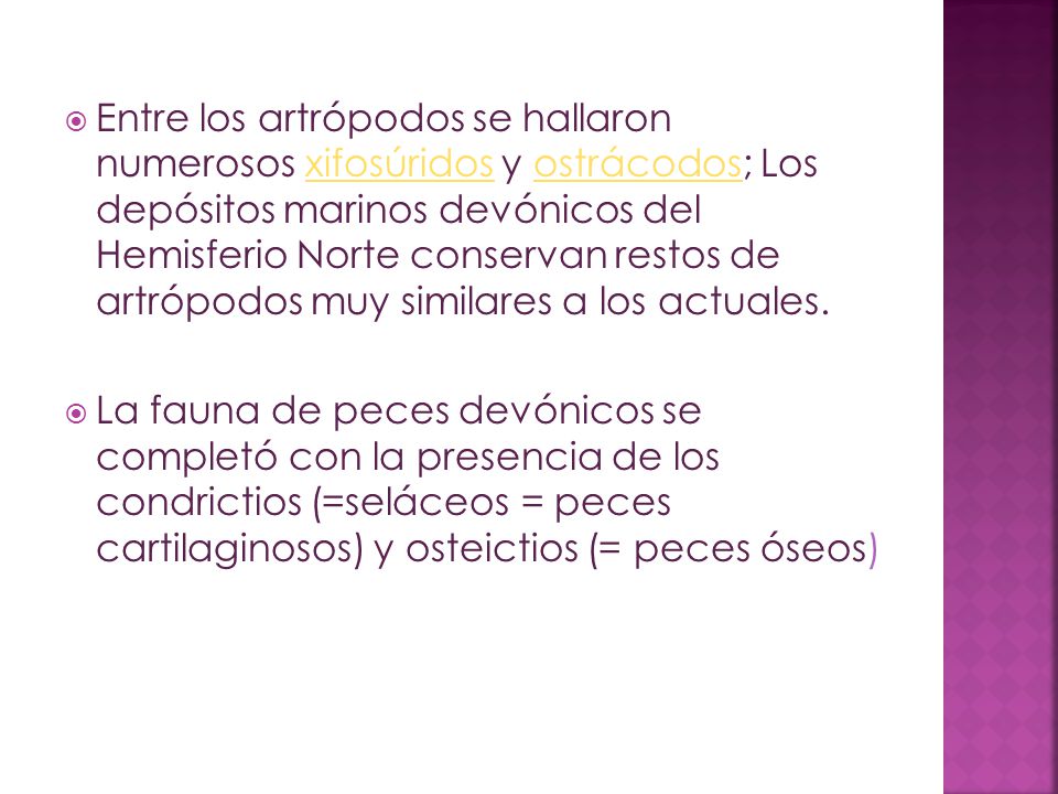 Entre los artrópodos se hallaron numerosos xifosúridos y ostrácodos; Los depósitos marinos devónicos del Hemisferio Norte conservan restos de artrópodos muy similares a los actuales.