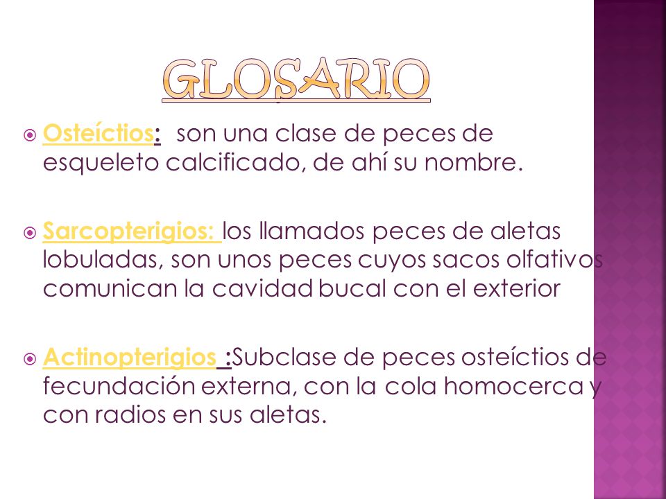 GLOSARIO Osteíctios: son una clase de peces de esqueleto calcificado, de ahí su nombre.