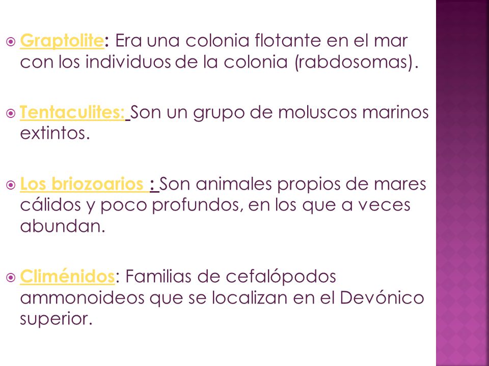 Graptolite: Era una colonia flotante en el mar con los individuos de la colonia (rabdosomas).