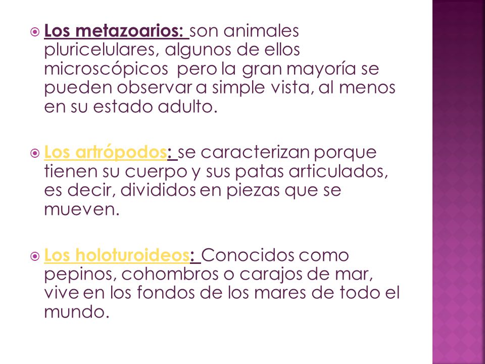 Los metazoarios: son animales pluricelulares, algunos de ellos microscópicos pero la gran mayoría se pueden observar a simple vista, al menos en su estado adulto.