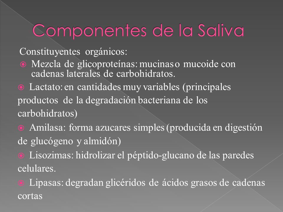 Componentes de la Saliva