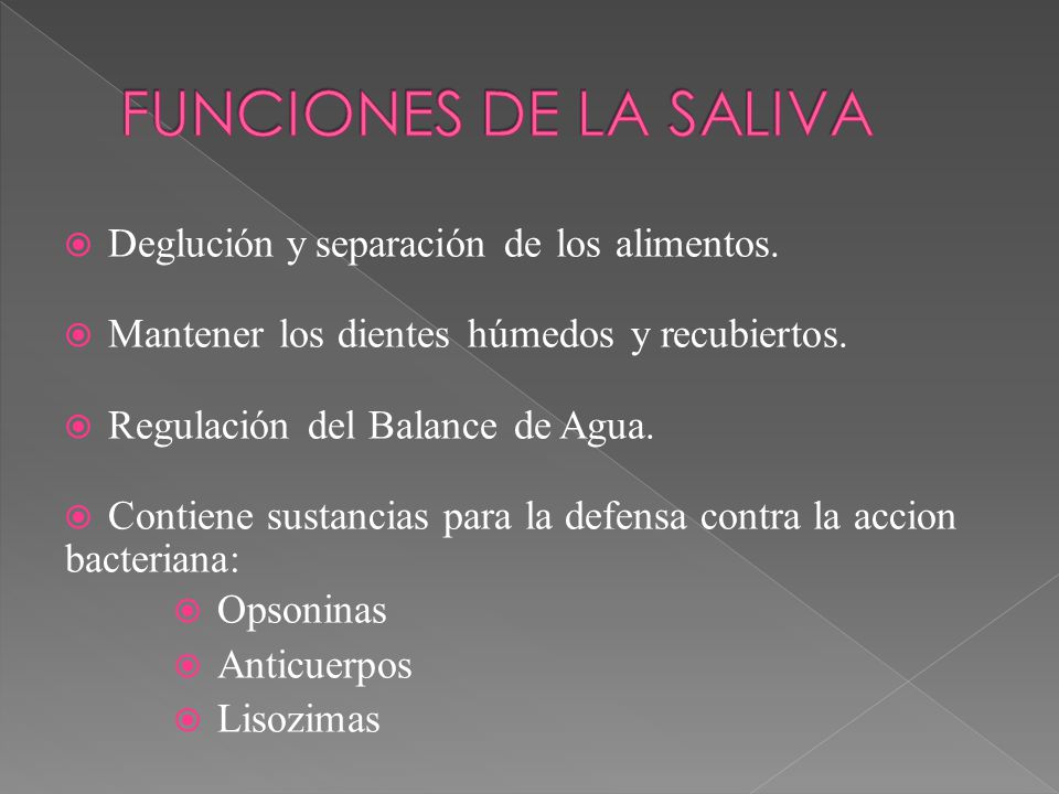 FUNCIONES DE LA SALIVA Deglución y separación de los alimentos.