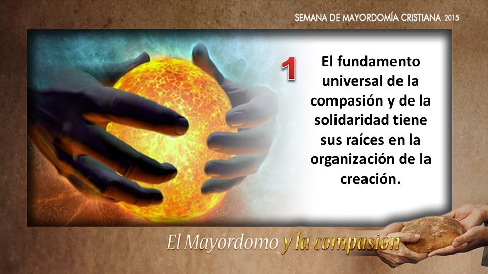 1 El fundamento universal de la compasión y de la solidaridad tiene sus raíces en la organización de la creación.