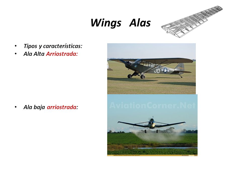 Wings Alas Tipos y características: Ala Alta Arriostrada:
