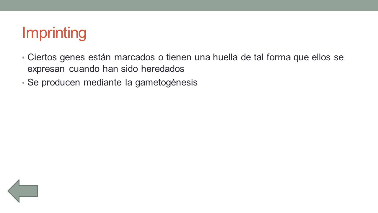 Imprinting Ciertos genes están marcados o tienen una huella de tal forma que ellos se expresan cuando han sido heredados.