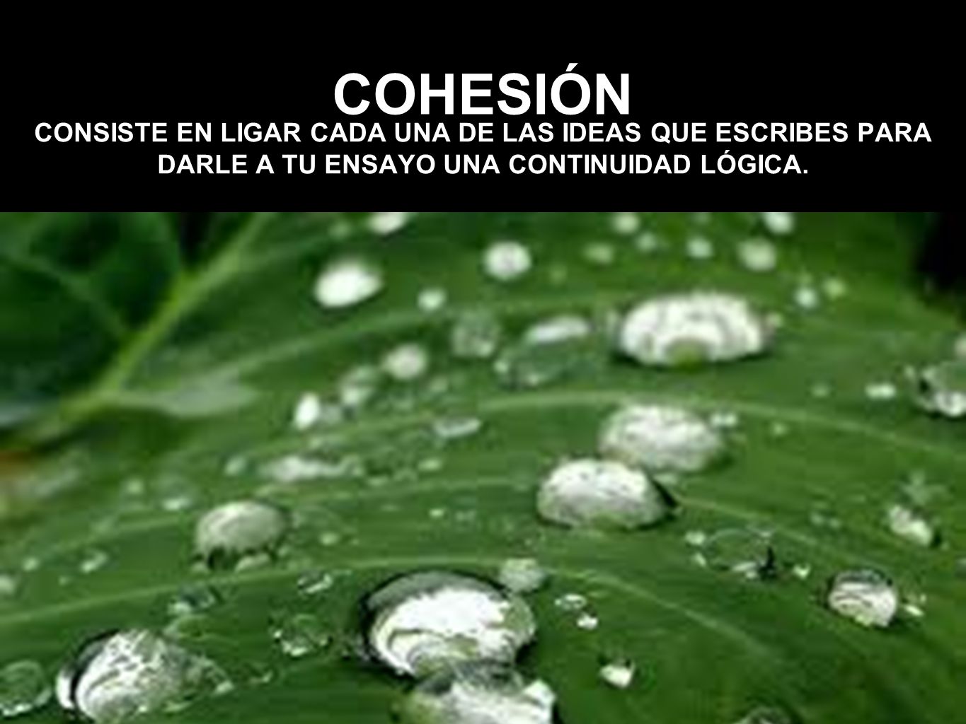 COHESIÓN CONSISTE EN LIGAR CADA UNA DE LAS IDEAS QUE ESCRIBES PARA DARLE A TU ENSAYO UNA CONTINUIDAD LÓGICA.