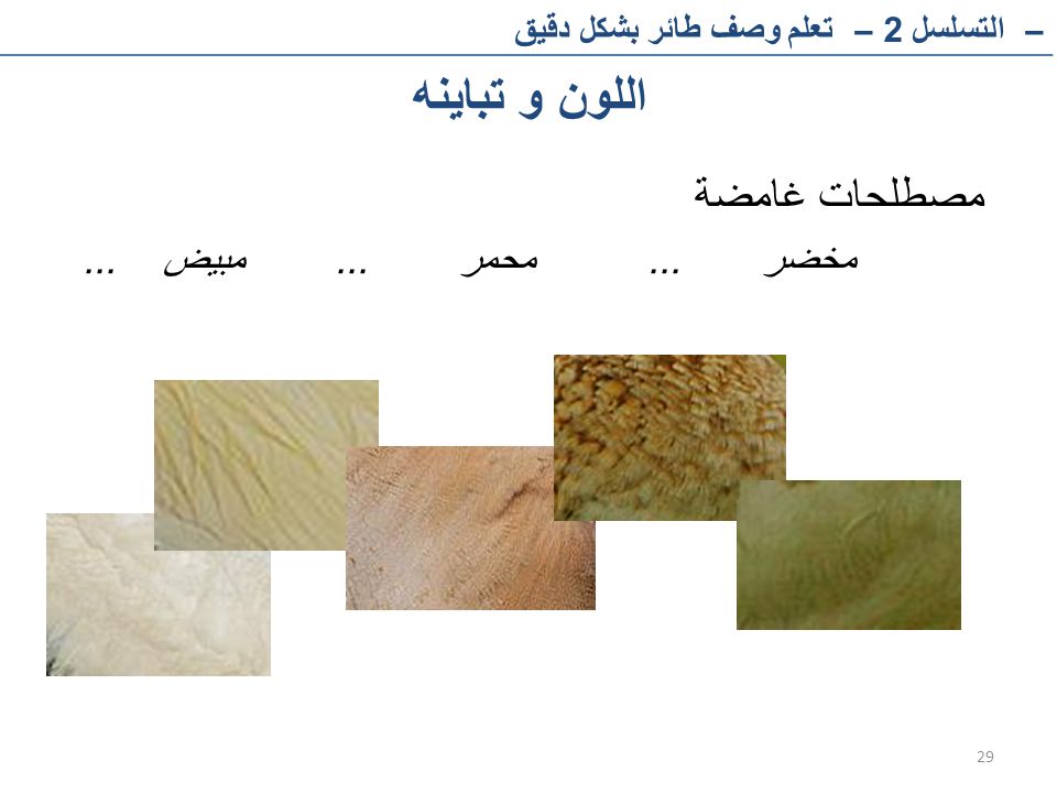 اللون و تباينه مصطلحات غامضة مخضر ... محمر ... مبيض ...